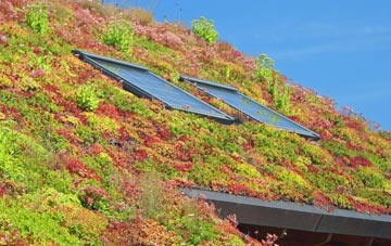 Bailiff Bridge living roof systems